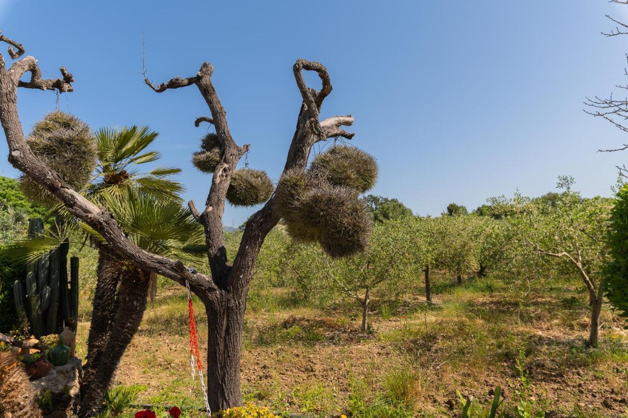 Finca Sa Sini Buger Exterior photo